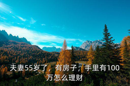 夫妻55歲了，有房子，手里有100萬怎么理財