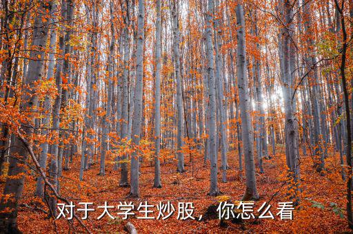對(duì)于大學(xué)生炒股，你怎么看