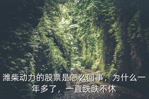 濰柴動(dòng)力的股票是怎么回事，為什么一年多了，一直跌跌不休