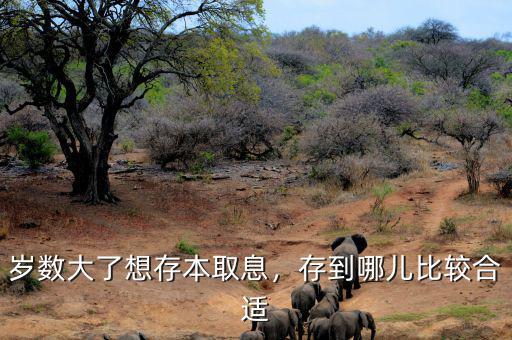 歲數(shù)大了想存本取息，存到哪兒比較合適