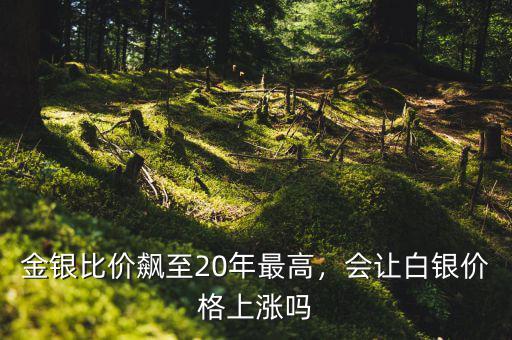 金銀比價飆至20年最高，會讓白銀價格上漲嗎