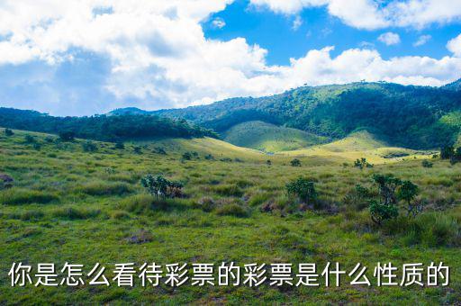 什么是體育彩票基金,彩票是什么性質的