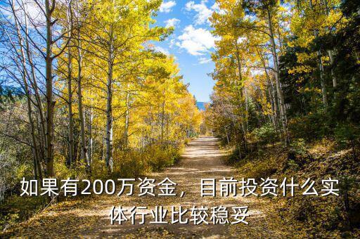 如果有200萬(wàn)資金，目前投資什么實(shí)體行業(yè)比較穩(wěn)妥