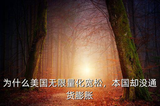 為什么美國無限量化寬松，本國卻沒通貨膨脹