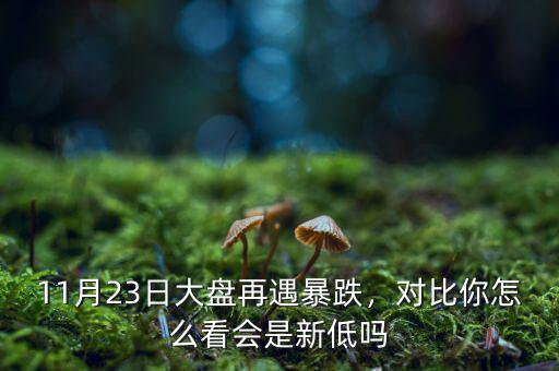 11月23日大盤再遇暴跌，對(duì)比你怎么看會(huì)是新低嗎
