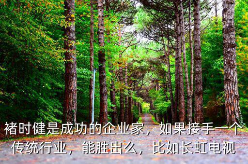 褚時健是成功的企業(yè)家，如果接手一個傳統(tǒng)行業(yè)，能勝出么，比如長虹電視