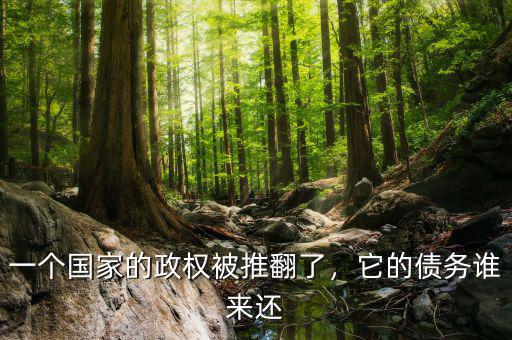 一個(gè)國家的政權(quán)被推翻了，它的債務(wù)誰來還