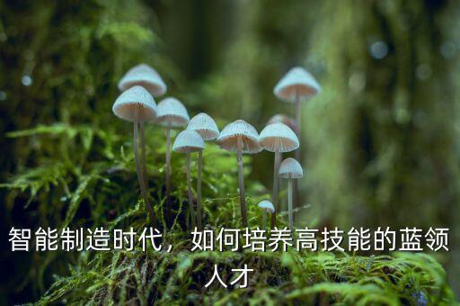 智能制造時(shí)代，如何培養(yǎng)高技能的藍(lán)領(lǐng)人才