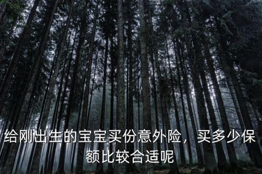 給剛出生的寶寶買份意外險，買多少保額比較合適呢