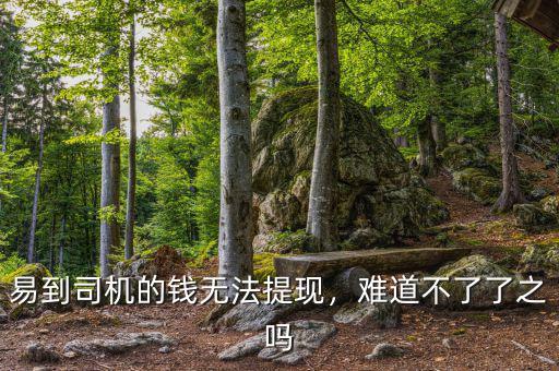 易到司機(jī)的錢(qián)無(wú)法提現(xiàn)，難道不了了之嗎