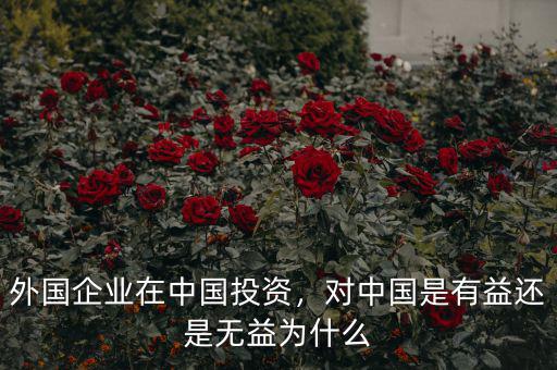 外國企業(yè)在中國投資，對中國是有益還是無益為什么