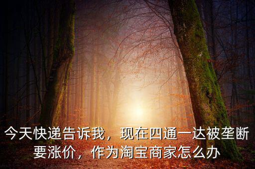 今天快遞告訴我，現(xiàn)在四通一達(dá)被壟斷要漲價(jià)，作為淘寶商家怎么辦