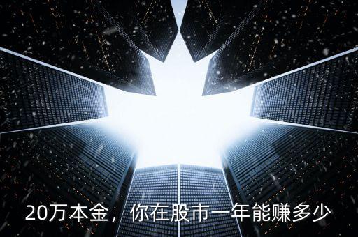 20萬本金，你在股市一年能賺多少