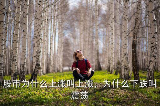股市為什么上漲叫上漲，為什么下跌叫震蕩