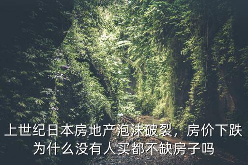 上世紀(jì)日本房地產(chǎn)泡沫破裂，房價下跌為什么沒有人買都不缺房子嗎