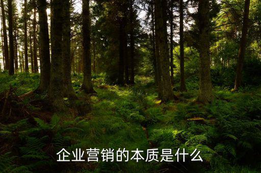 企業(yè)營銷的本質(zhì)是什么
