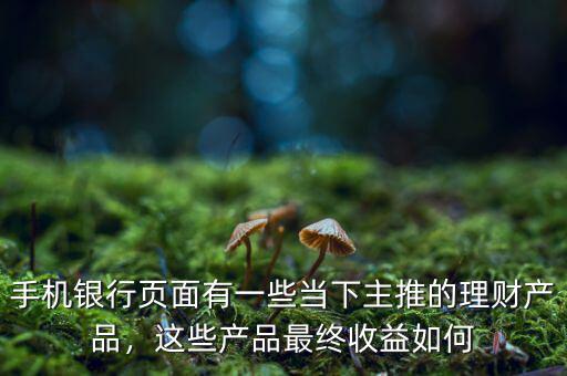 手機(jī)銀行頁面有一些當(dāng)下主推的理財(cái)產(chǎn)品，這些產(chǎn)品最終收益如何