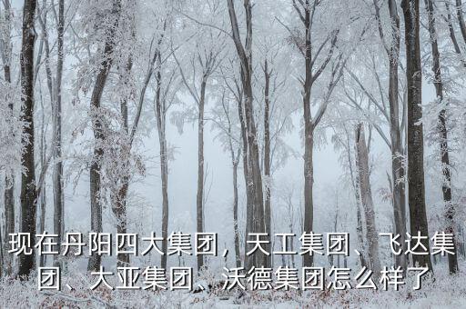 現(xiàn)在丹陽四大集團(tuán)，天工集團(tuán)、飛達(dá)集團(tuán)、大亞集團(tuán)、沃德集團(tuán)怎么樣了
