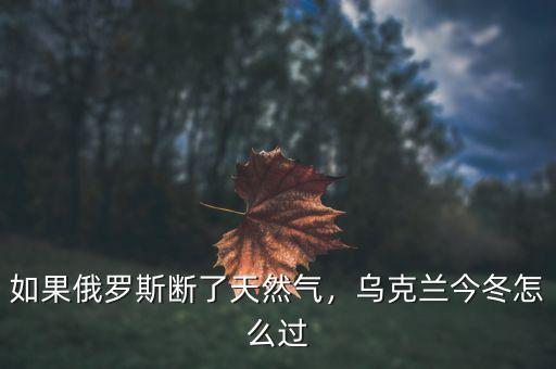 如果俄羅斯斷了天然氣，烏克蘭今冬怎么過