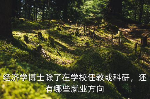 經濟學博士除了在學校任教或科研，還有哪些就業(yè)方向