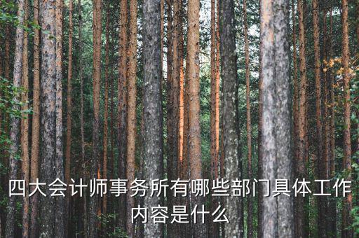 會計師事務所機構代碼是什么,四大會計師事務所有哪些部門