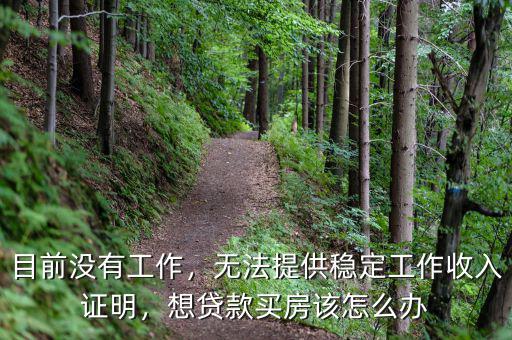 目前沒有工作，無法提供穩(wěn)定工作收入證明，想貸款買房該怎么辦