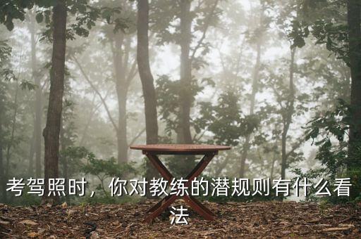 考駕照時(shí)，你對(duì)教練的潛規(guī)則有什么看法