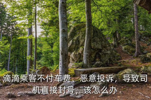滴滴乘客不付車費(fèi)、惡意投訴，導(dǎo)致司機(jī)直接封號(hào)，該怎么辦