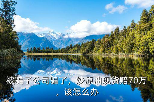 被騙子公司騙了，炒原油現(xiàn)貨賠70萬，該怎么辦