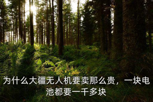 為什么大疆無(wú)人機(jī)要賣那么貴，一塊電池都要一千多塊