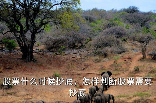 股票什么時(shí)候抄底，怎樣判斷股票需要抄底