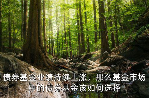 債券基金業(yè)績(jī)持續(xù)上漲，那么基金市場(chǎng)中的債券基金該如何選擇