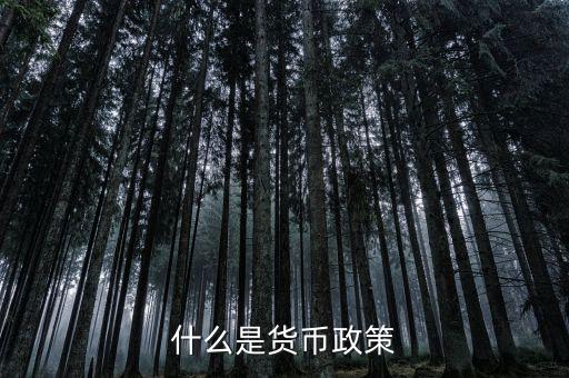 貨幣政策委員會(huì)是什么,對(duì)人民幣匯率走勢有什么影響