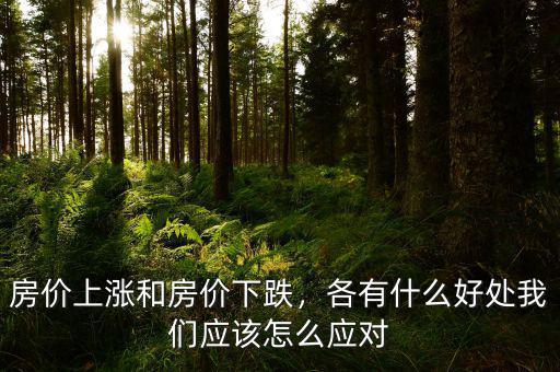 房價上漲和房價下跌，各有什么好處我們應該怎么應對