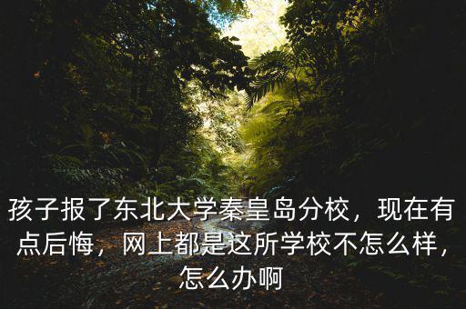 孩子報了東北大學(xué)秦皇島分校，現(xiàn)在有點后悔，網(wǎng)上都是這所學(xué)校不怎么樣，怎么辦啊