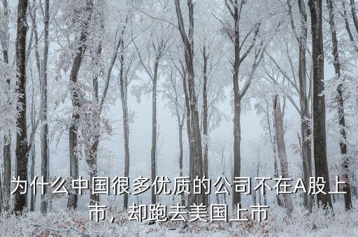 不盈利為什么能在美國上市,卻在美國上市。為什么