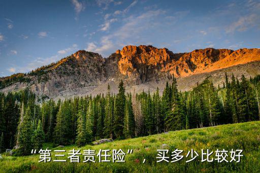 “第三者責(zé)任險(xiǎn)”，買(mǎi)多少比較好