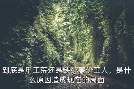 到底是用工荒還是缺少廉價工人，是什么原因造成現(xiàn)在的局面