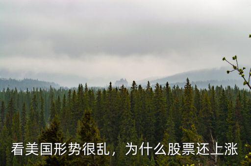 看美國(guó)形勢(shì)很亂，為什么股票還上漲