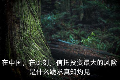 在中國(guó)，在此刻，信托投資最大的風(fēng)險(xiǎn)是什么跪求真知灼見