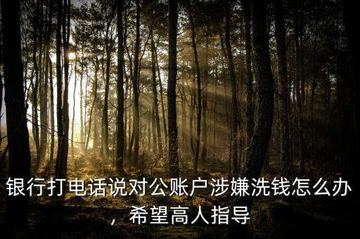 銀行打電話說對公賬戶涉嫌洗錢怎么辦，希望高人指導(dǎo)