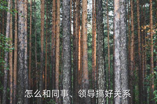 怎么和同事、領(lǐng)導搞好關(guān)系