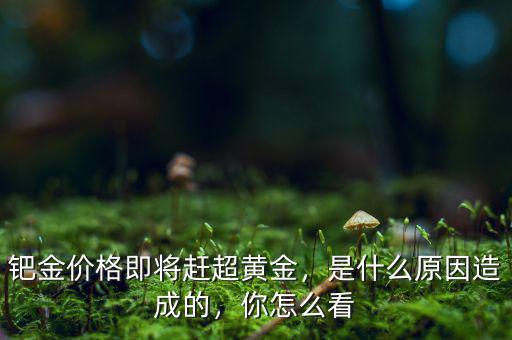 鈀金價(jià)格即將趕超黃金，是什么原因造成的，你怎么看