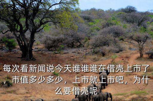 每次看新聞?wù)f今天誰(shuí)誰(shuí)誰(shuí)在借殼上市了，市值多少多少，上市就上市吧，為什么要借殼呢