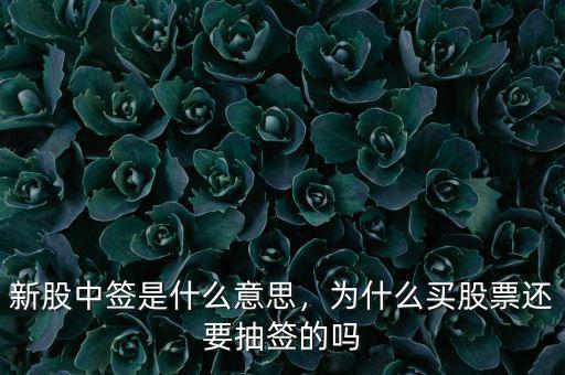 新股中簽是什么意思，為什么買股票還要抽簽的嗎