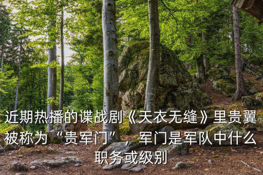 近期熱播的諜戰(zhàn)劇《天衣無縫》里貴翼被稱為“貴軍門”，軍門是軍隊中什么職務(wù)或級別