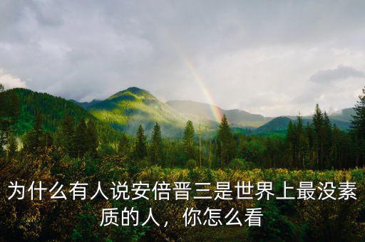 為什么有人說安倍晉三是世界上最沒素質(zhì)的人，你怎么看