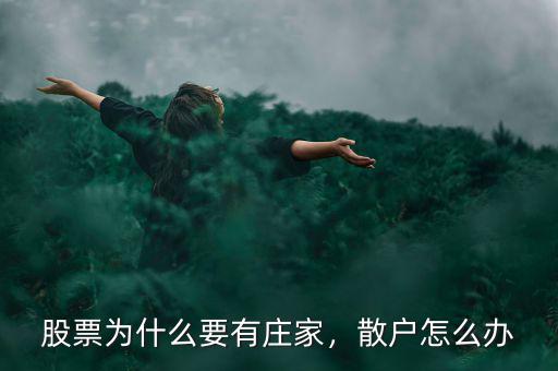 股票為什么要有莊家，散戶怎么辦