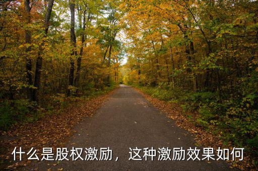 什么是股權(quán)激勵(lì)，這種激勵(lì)效果如何