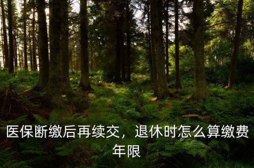 醫(yī)保斷繳后再續(xù)交，退休時怎么算繳費(fèi)年限